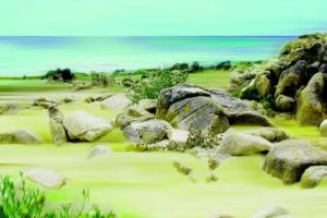 Voir le détail de cette oeuvre: plage de la trinitee sur mer